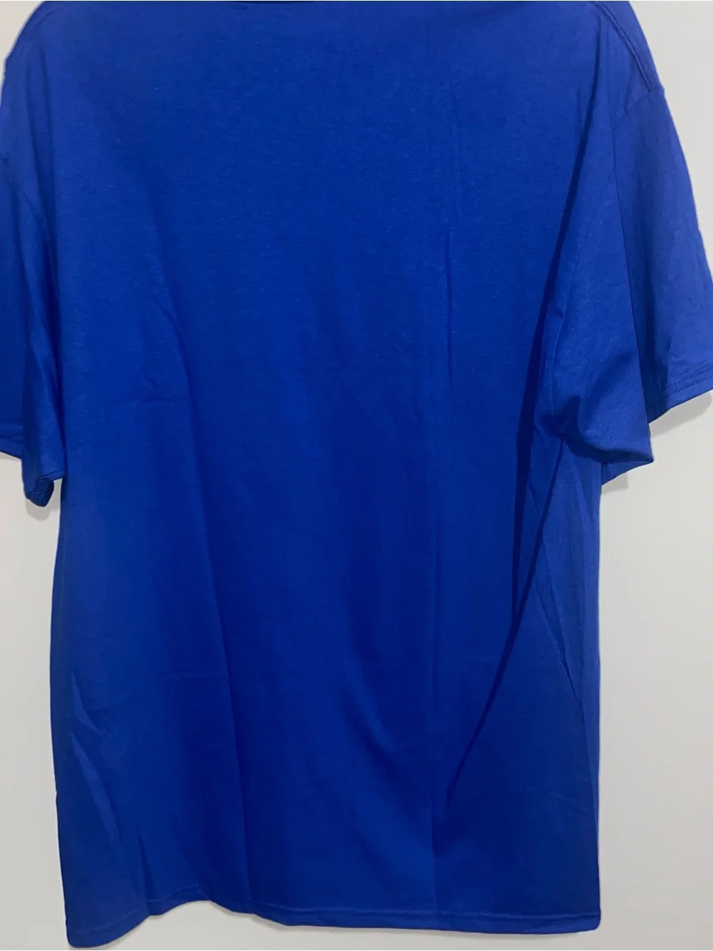 Champion Shirt Mens Large Florida Gulf Coast FGCU Eagles Blue Short Sleeve - Picture 11 of 12